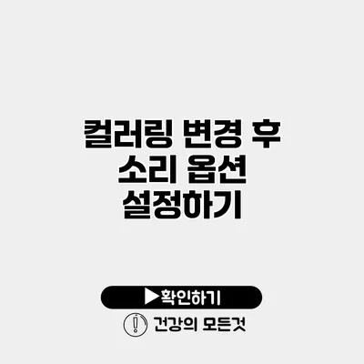 컬러링 변경 후 소리 옵션 설정하기