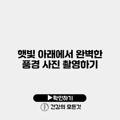 햇빛 아래에서 완벽한 풍경 사진 촬영하기